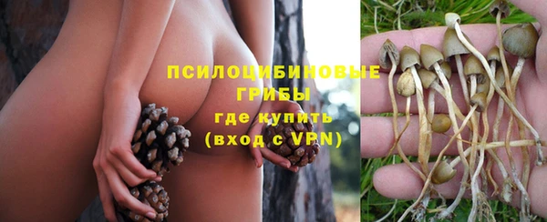 прущие крисы Карабаново