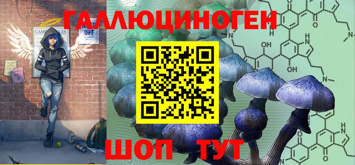 Псилоцибиновые грибы Cubensis  Вход с VPN  Мариинск 